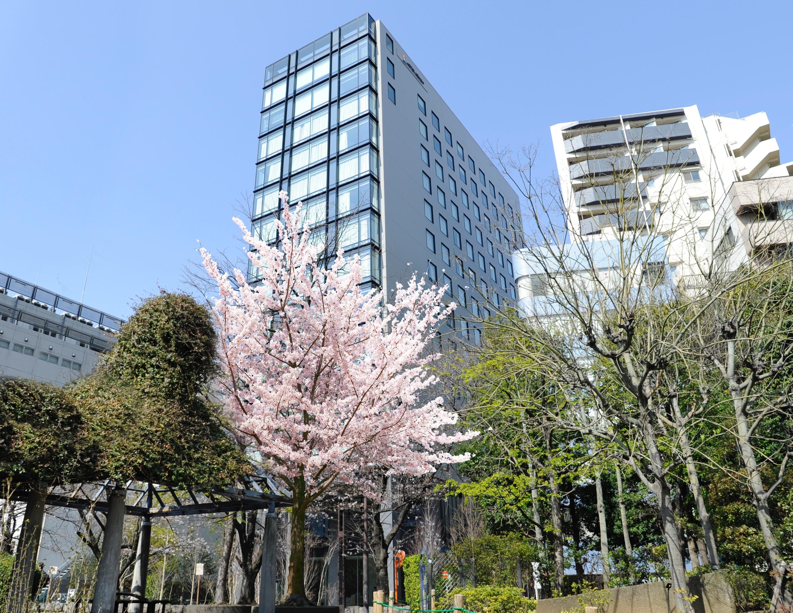 Hotel Keihan Tsukiji Ginza Grande Токио Экстерьер фото